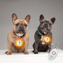 Load image into Gallery viewer, Ultrasonic Flea & Tick Repeller