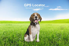 Load image into Gallery viewer, GPS Dog Collar