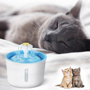 Pet Water Fountain