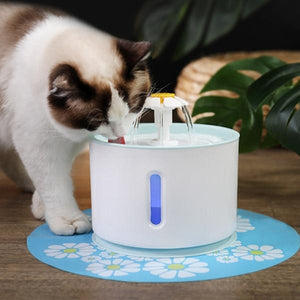 Pet Water Fountain