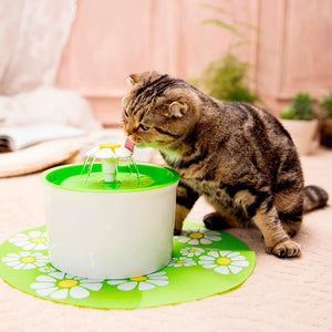 Pet Water Fountain