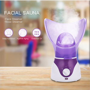 Facial Spa Steamer