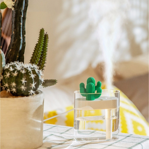 Cactus Humidifier