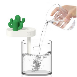 Cactus Humidifier